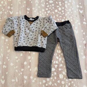 Petit Bateau Baby Boy Owl Print Sweatshirt & Quilted Pants Set | 24 Months